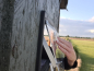 Preview: Reinigung des Fensters