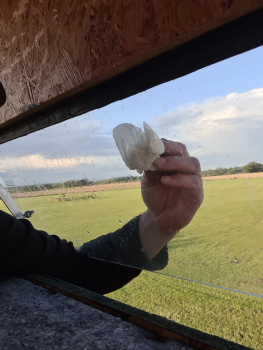 Reinigung des Fensters