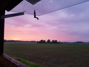 Ansitzfenster Komplettsystem mit Aufsteller und Verriegelung